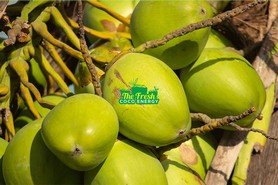 Coconut Product